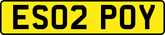 ES02POY