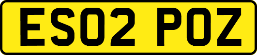 ES02POZ
