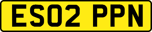 ES02PPN