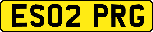 ES02PRG
