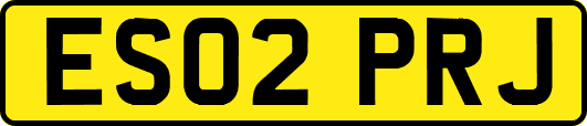 ES02PRJ