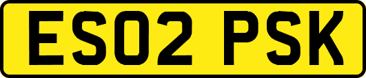 ES02PSK