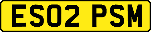 ES02PSM