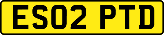 ES02PTD