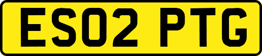 ES02PTG