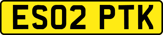 ES02PTK