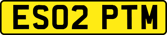 ES02PTM