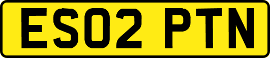 ES02PTN