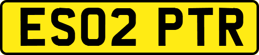 ES02PTR