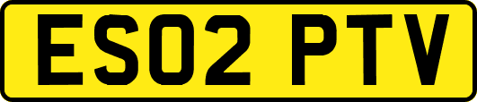 ES02PTV