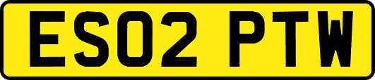 ES02PTW