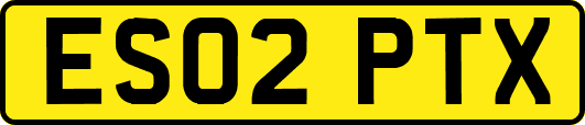 ES02PTX