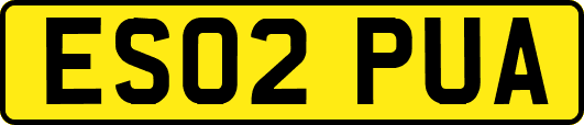 ES02PUA