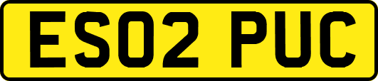 ES02PUC