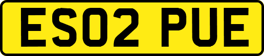 ES02PUE