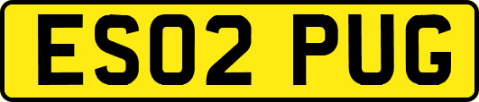 ES02PUG