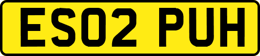 ES02PUH