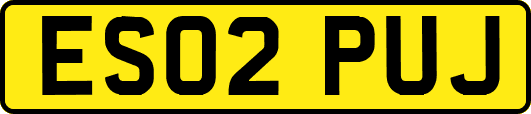 ES02PUJ