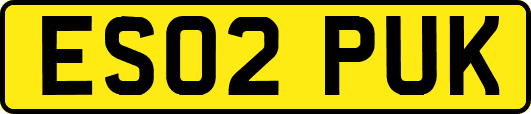 ES02PUK