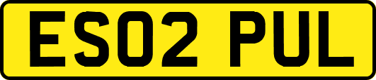 ES02PUL