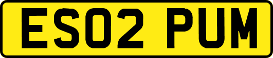 ES02PUM