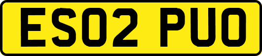 ES02PUO