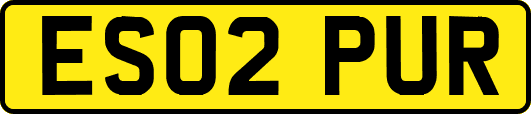 ES02PUR