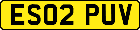ES02PUV