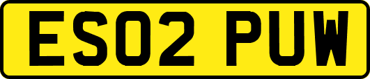 ES02PUW