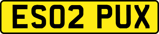 ES02PUX