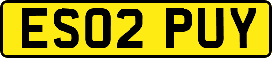 ES02PUY