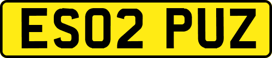 ES02PUZ