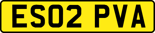 ES02PVA
