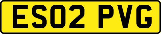 ES02PVG