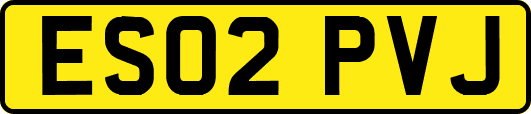 ES02PVJ