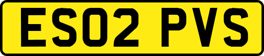 ES02PVS