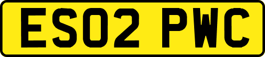ES02PWC
