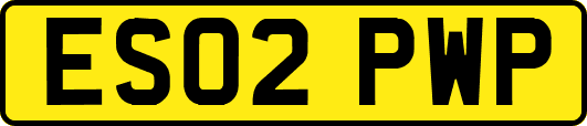 ES02PWP