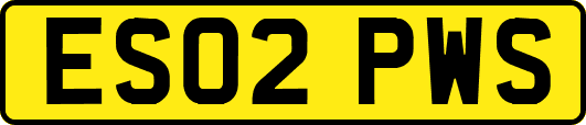 ES02PWS
