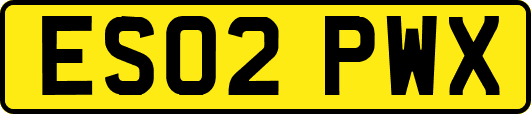 ES02PWX