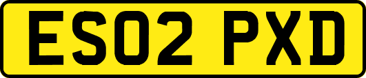 ES02PXD