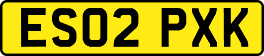 ES02PXK