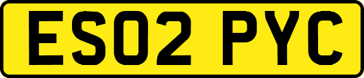 ES02PYC