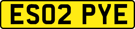ES02PYE