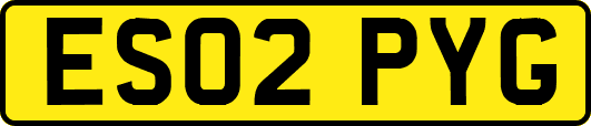 ES02PYG