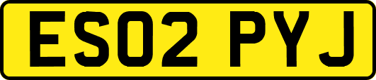 ES02PYJ