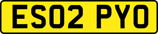 ES02PYO