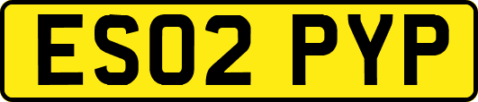 ES02PYP