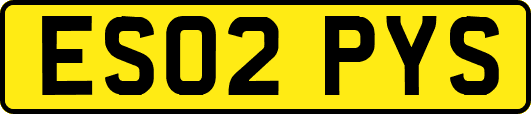 ES02PYS
