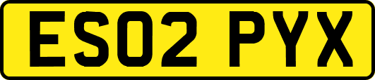 ES02PYX